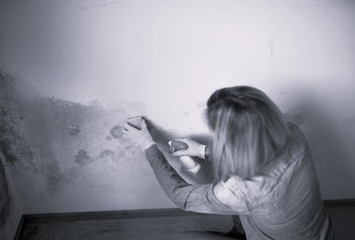 What is Awaab’s Law?