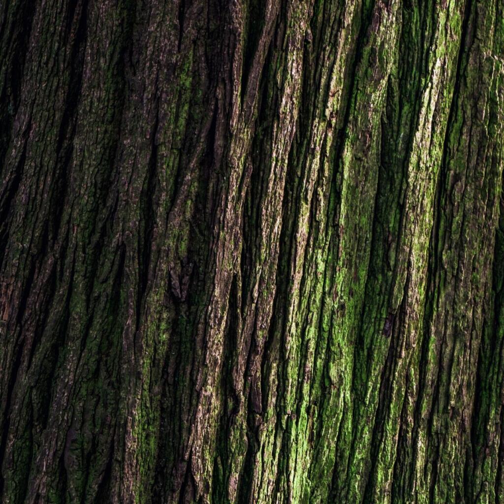 DECARBONISING LONDON